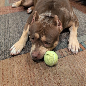 Fundraising Page: Lisa Moore